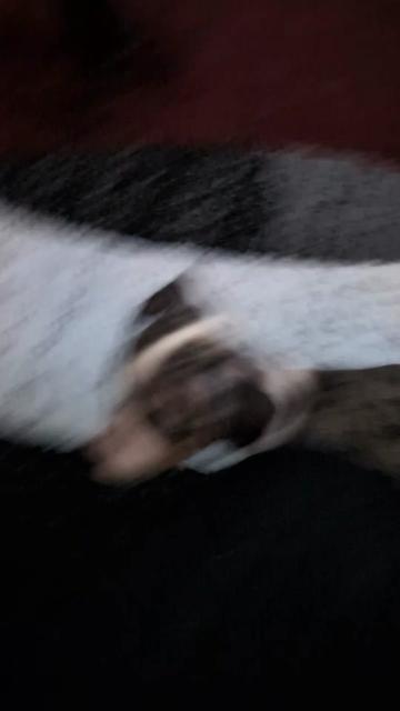 @🦖🦕🦖Tina_Gen❌🦖🦕🦖