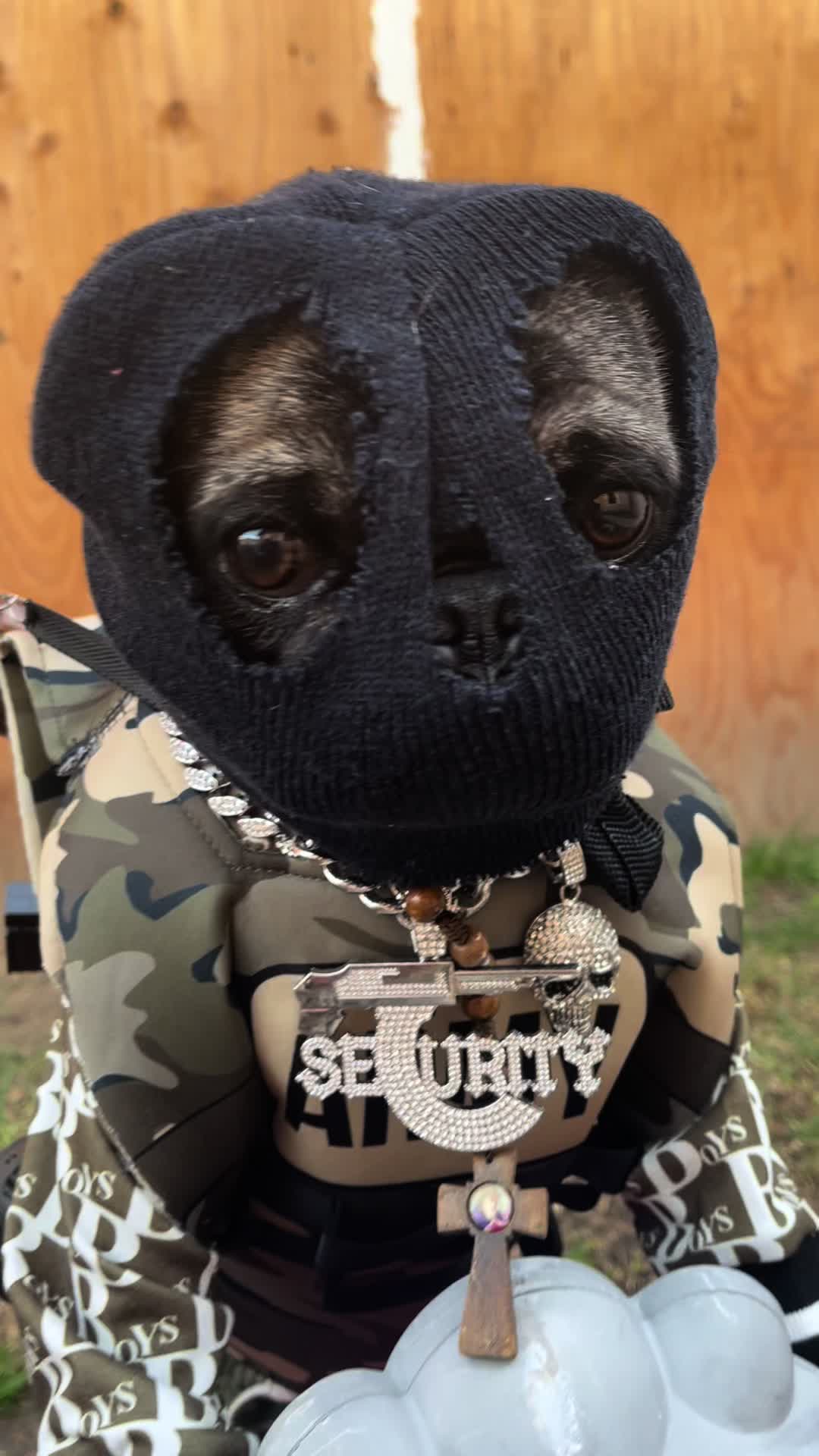 @𝕭𝖔𝖓𝖌𝖔
