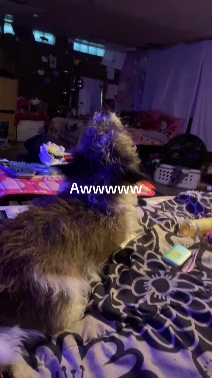 @ms_spazzout💋💙⛓️