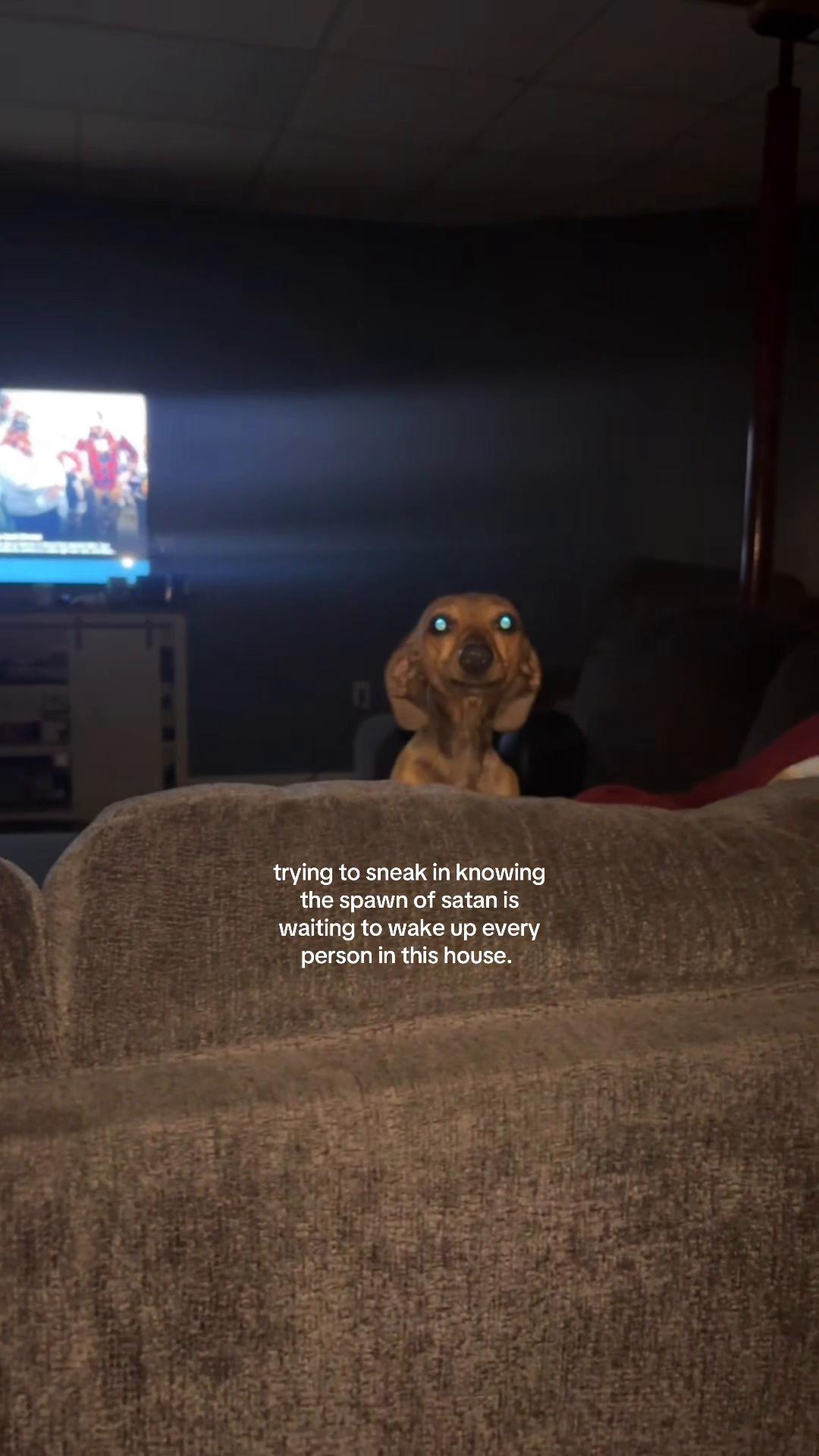 @kiki