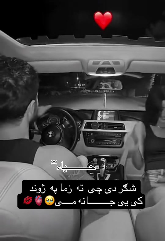 @𓆩حـــــــــــــــیاء𓆪