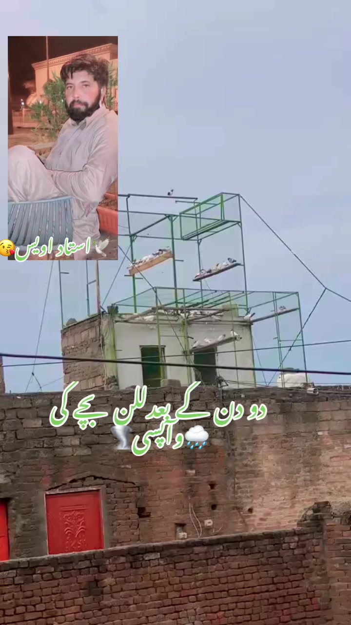 @Saif,Mughal,g