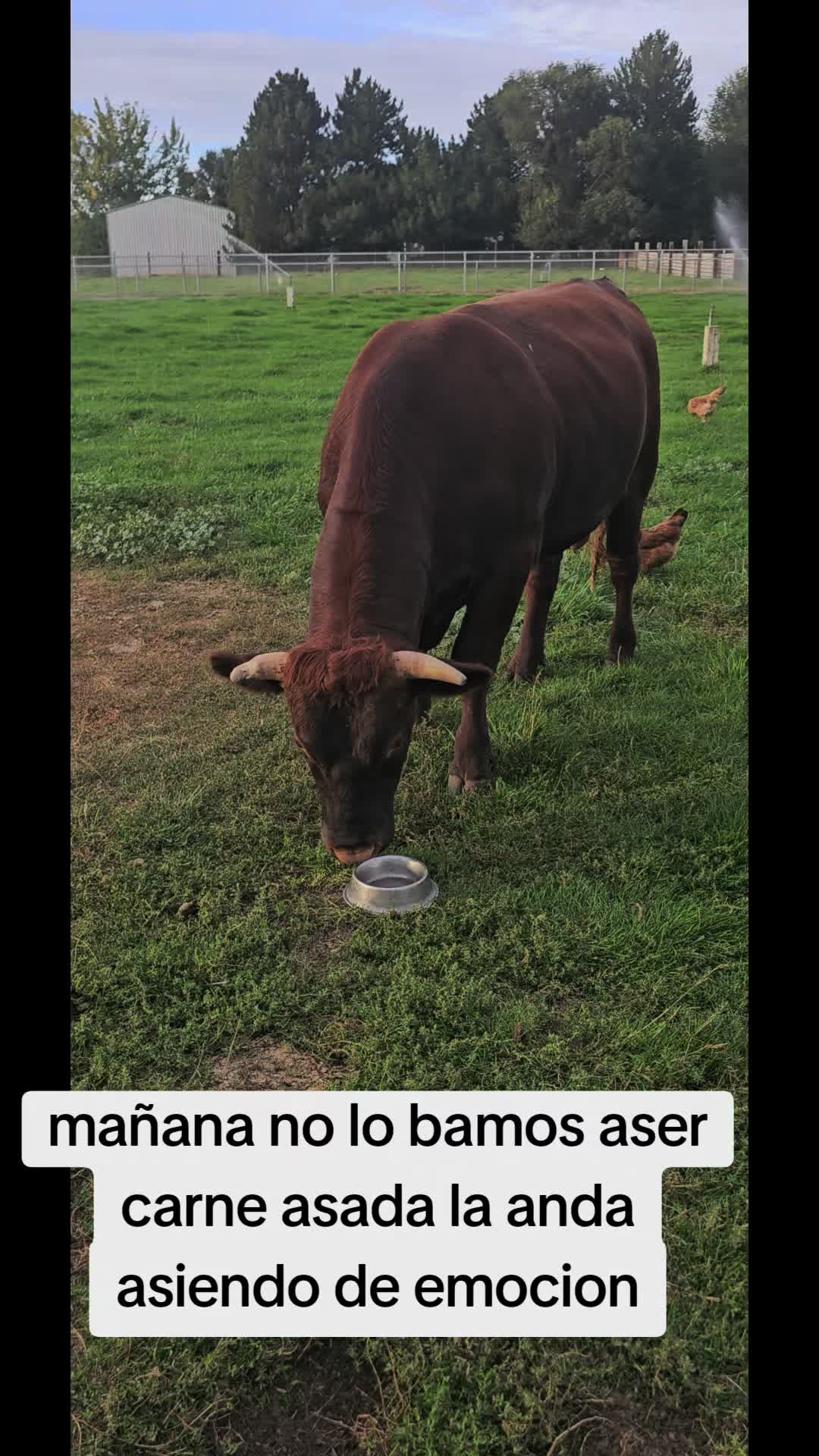 @rancho_rangel1