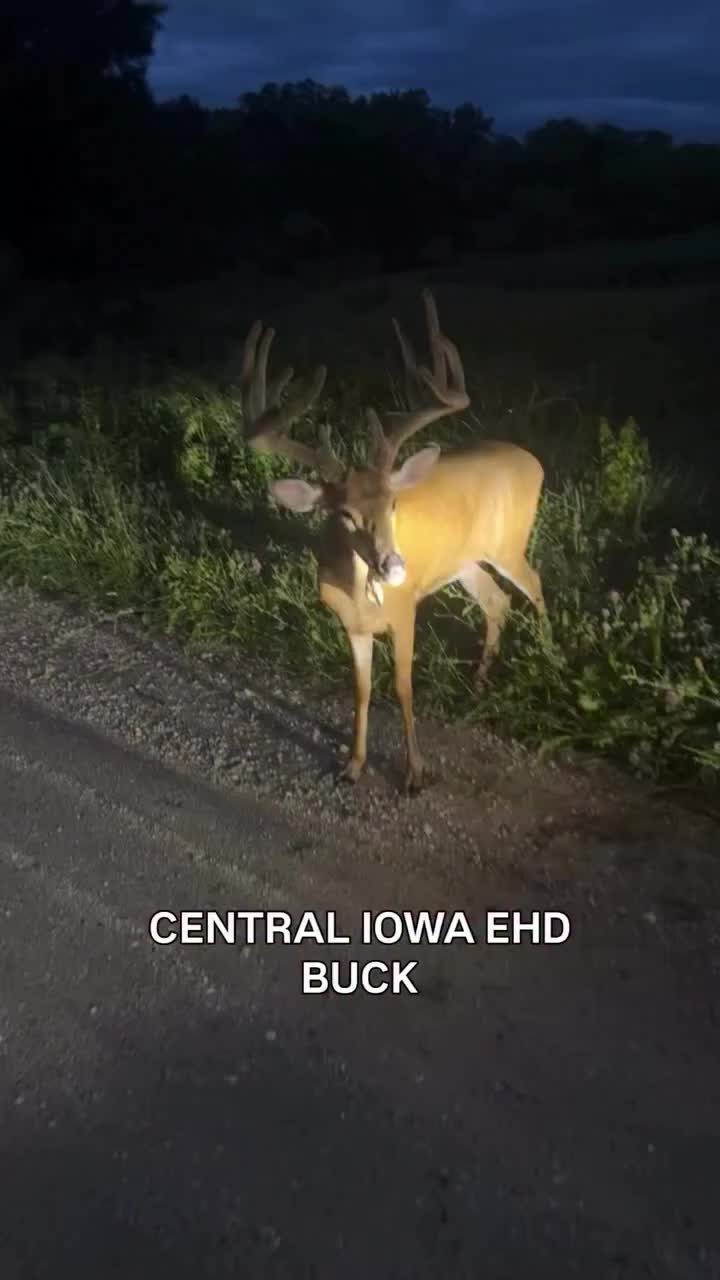 @Buckmasters Outdoors