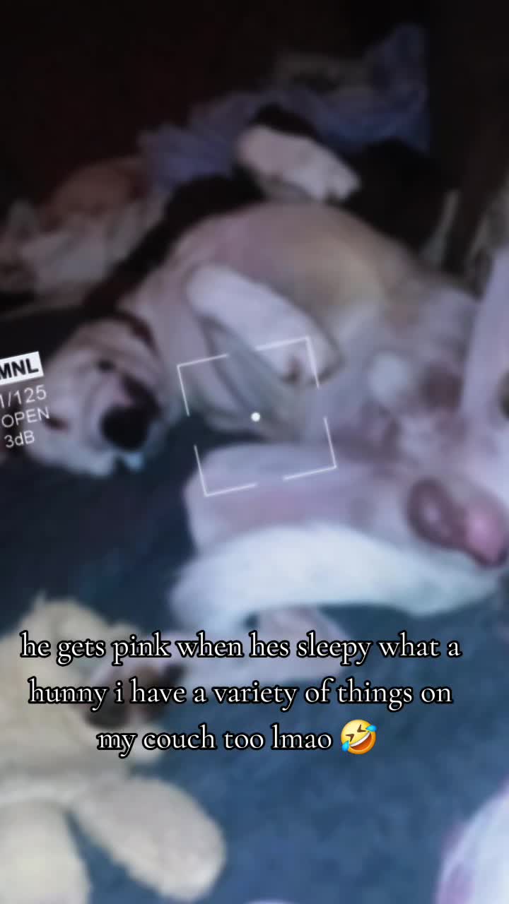 @โค๏ธ๐ด๐๐ฆโก๏ธ๐ธ๐๐๐ง๐๐๐๐กโโค๏ธ