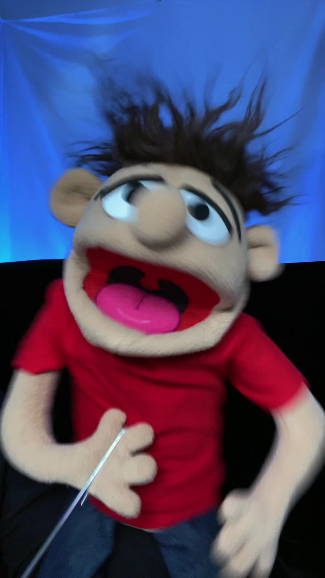 @Goodman&rsquo;s Wacky Puppets