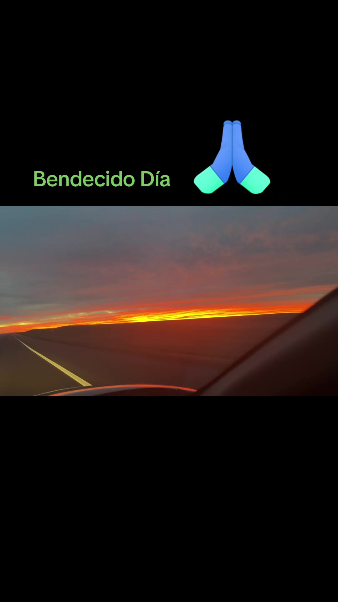 @Melisa Estupinian886