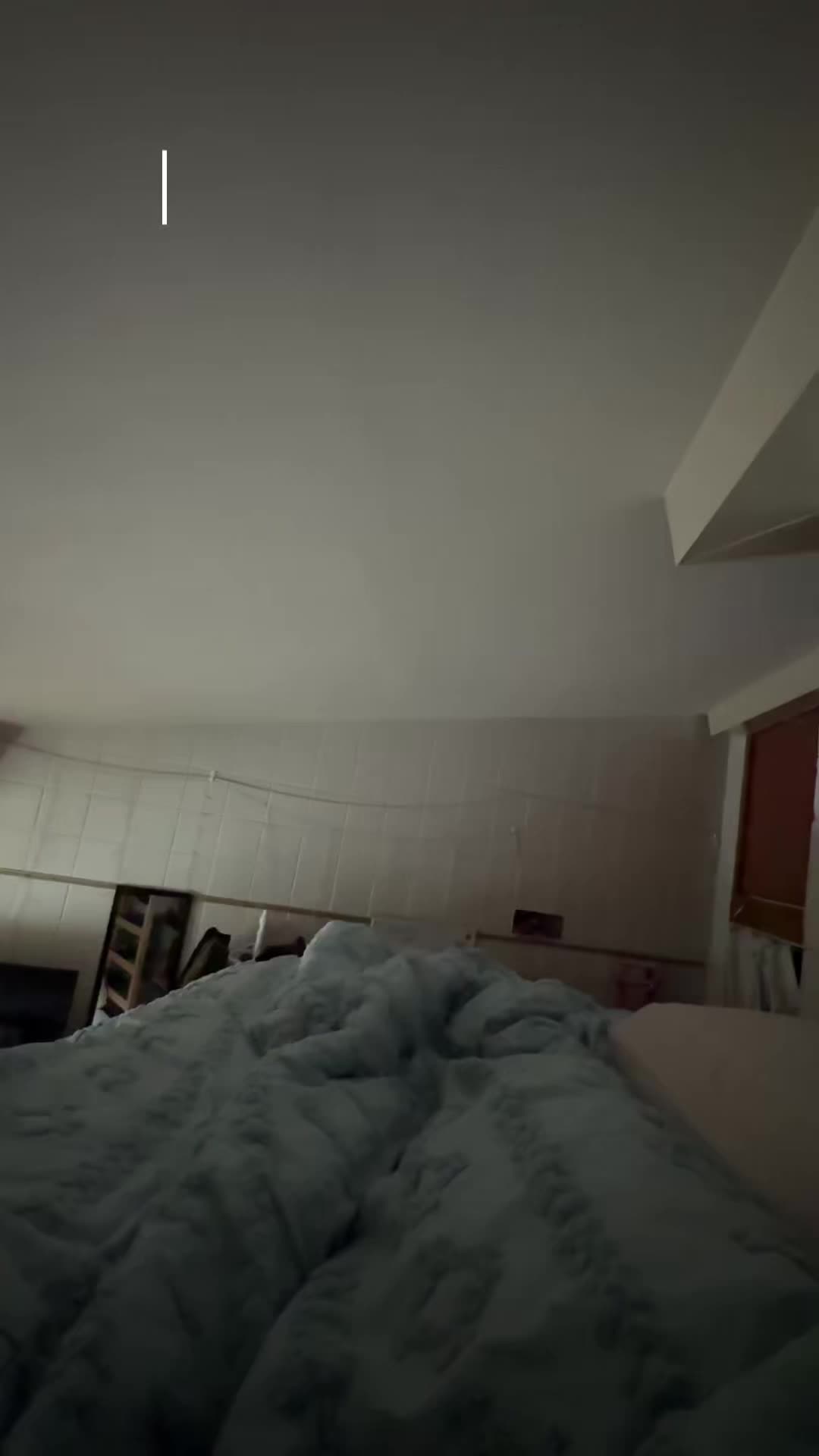 @bella
