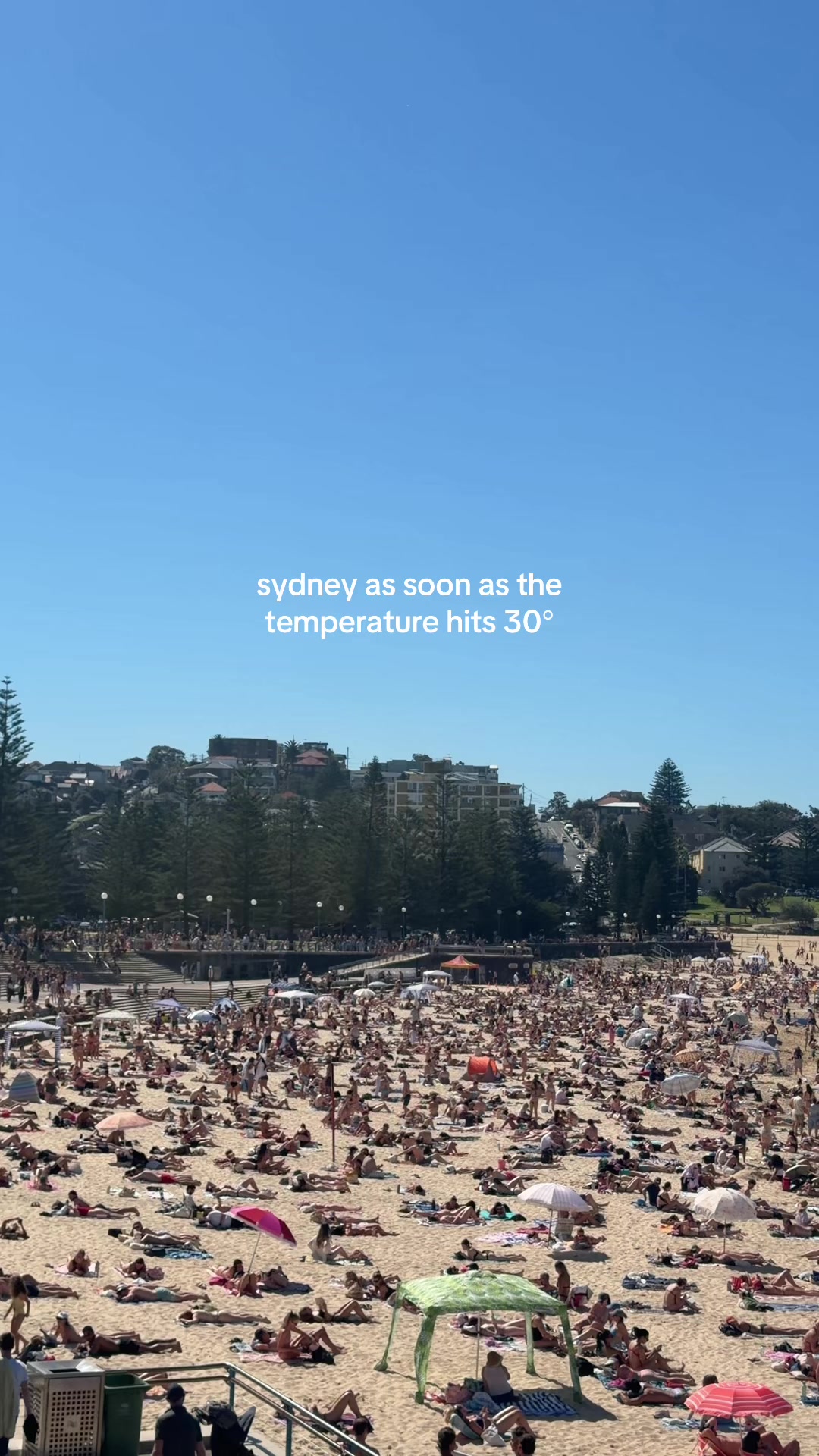 @Victoria 🦋
