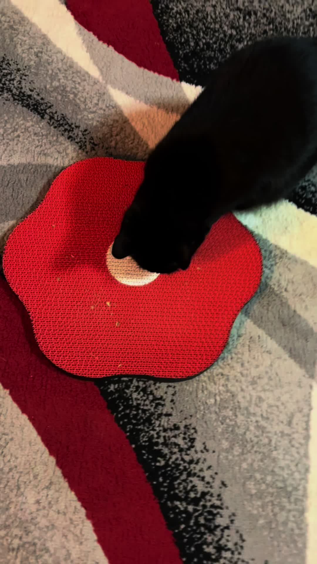 @Concerned_Kitty