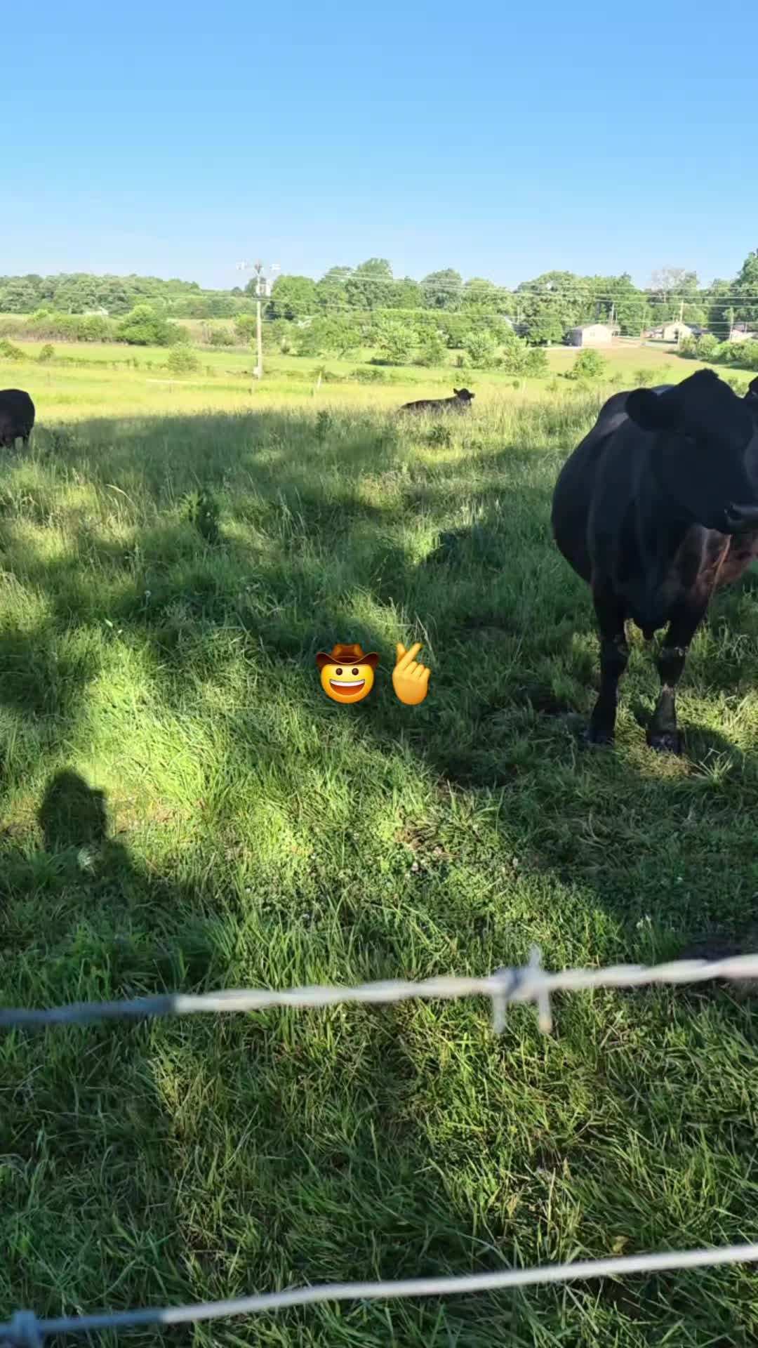 @Mendoza fan🐂 del &eacute;xito ✍️🧠💸