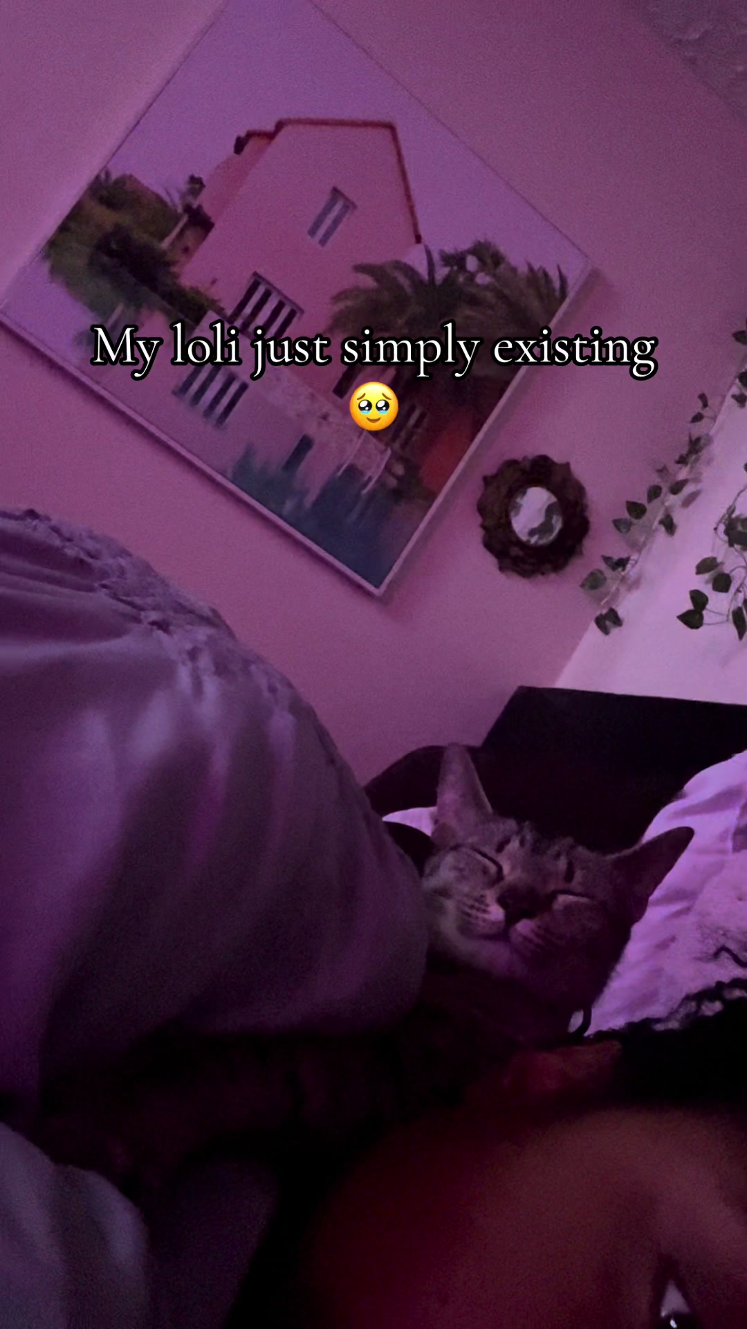 @simplymj_01
