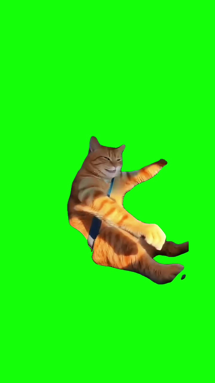 @Green Screen Memes