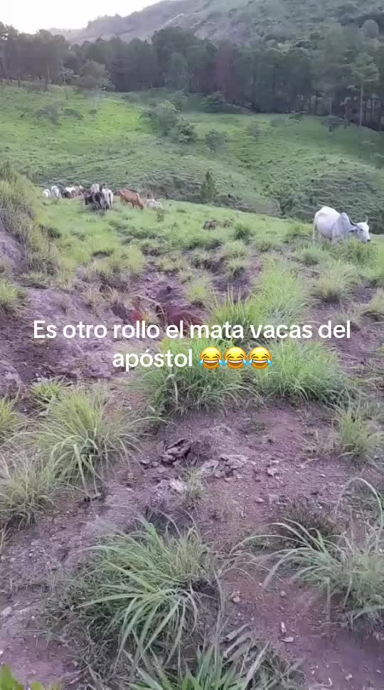 @Samir Buezo