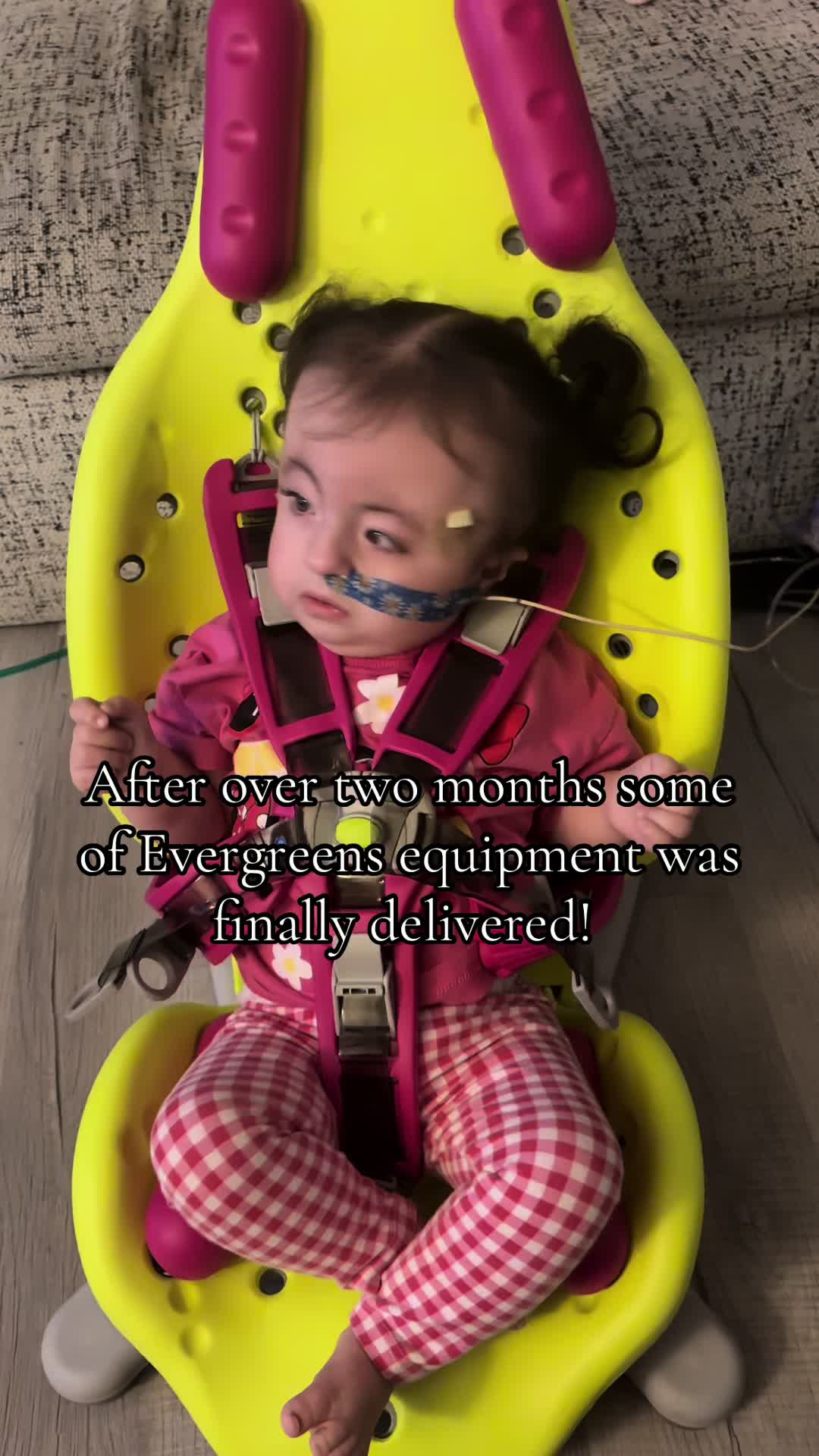 @life_with_evergreen