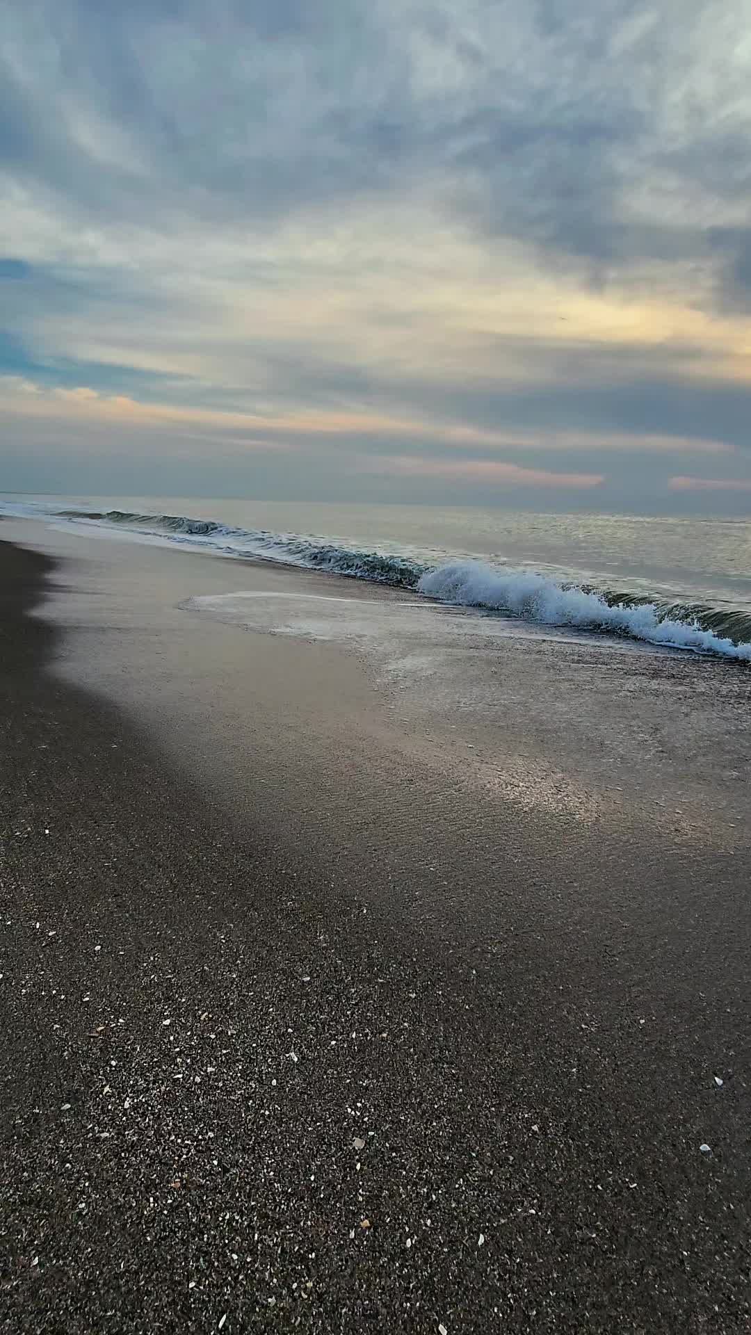 @justbeachy
