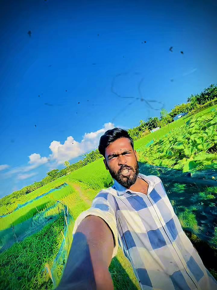 @banglavai4
