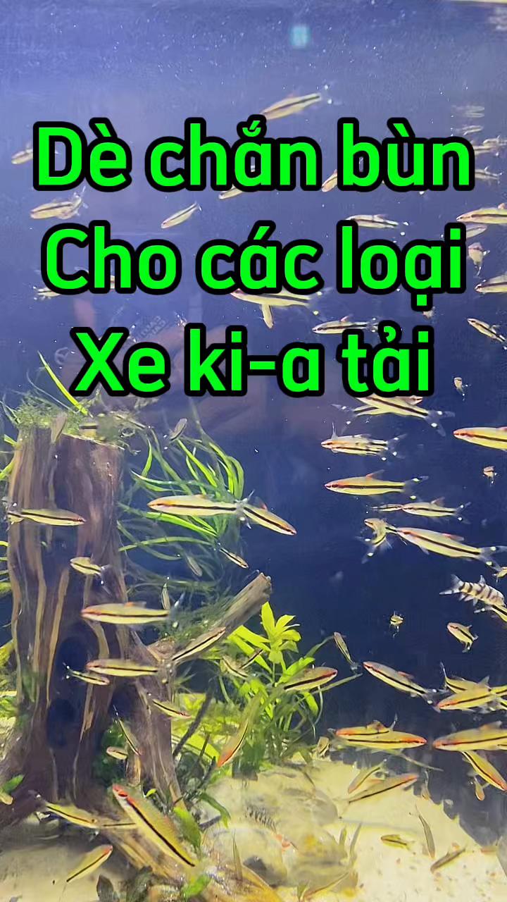 @Phụ kiện &ocirc; t&ocirc; Ho&agrave;ng B&aacute;ch