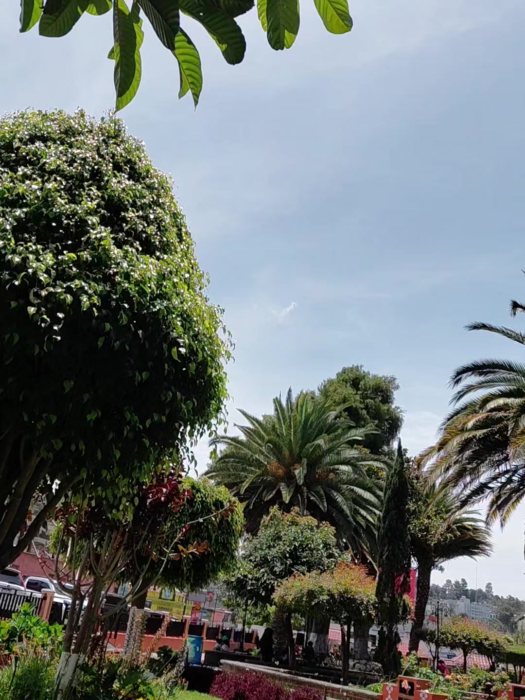 @>😇T.Y🦋Roquel T🥰<