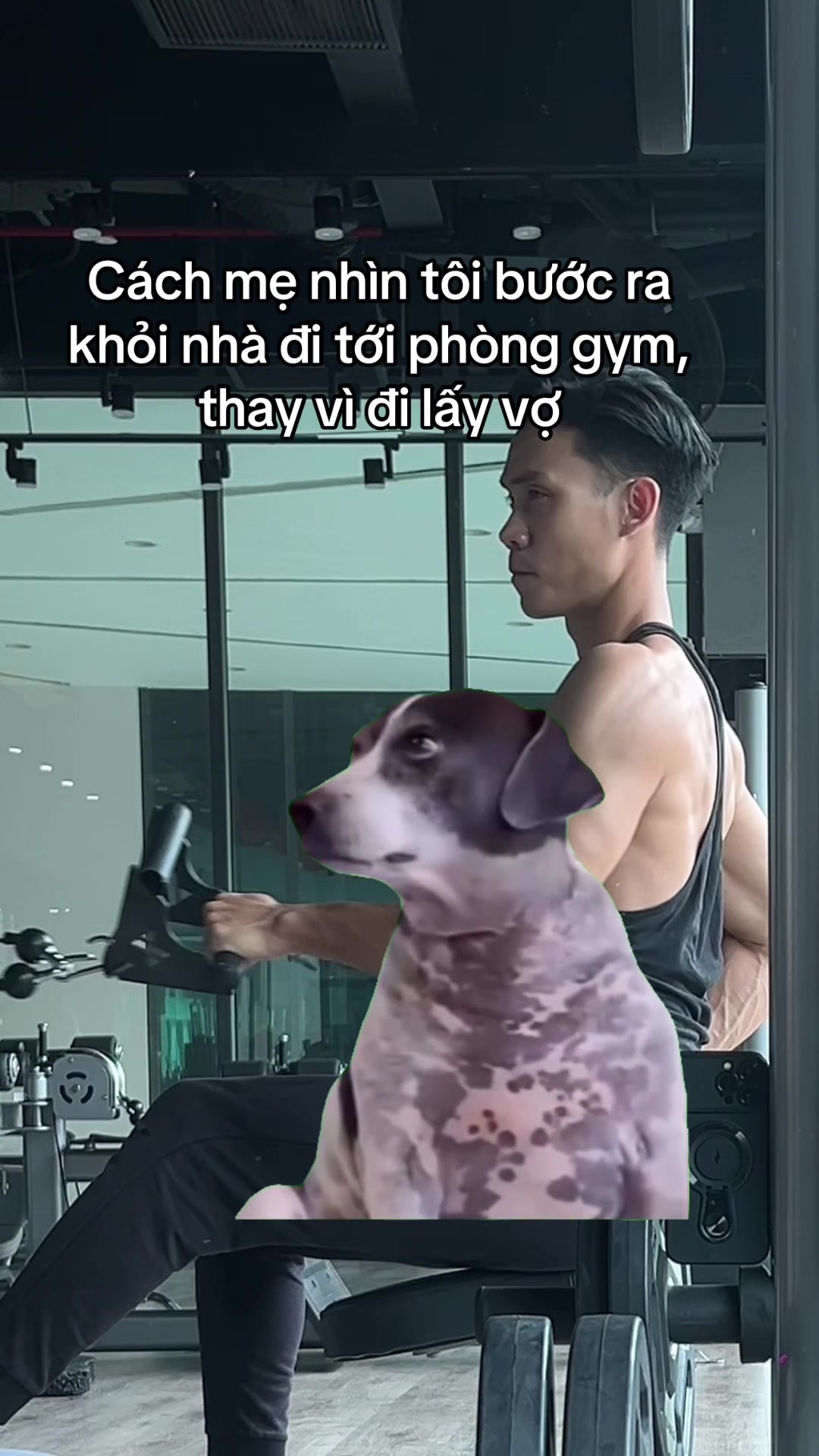 @Kevin Bùi