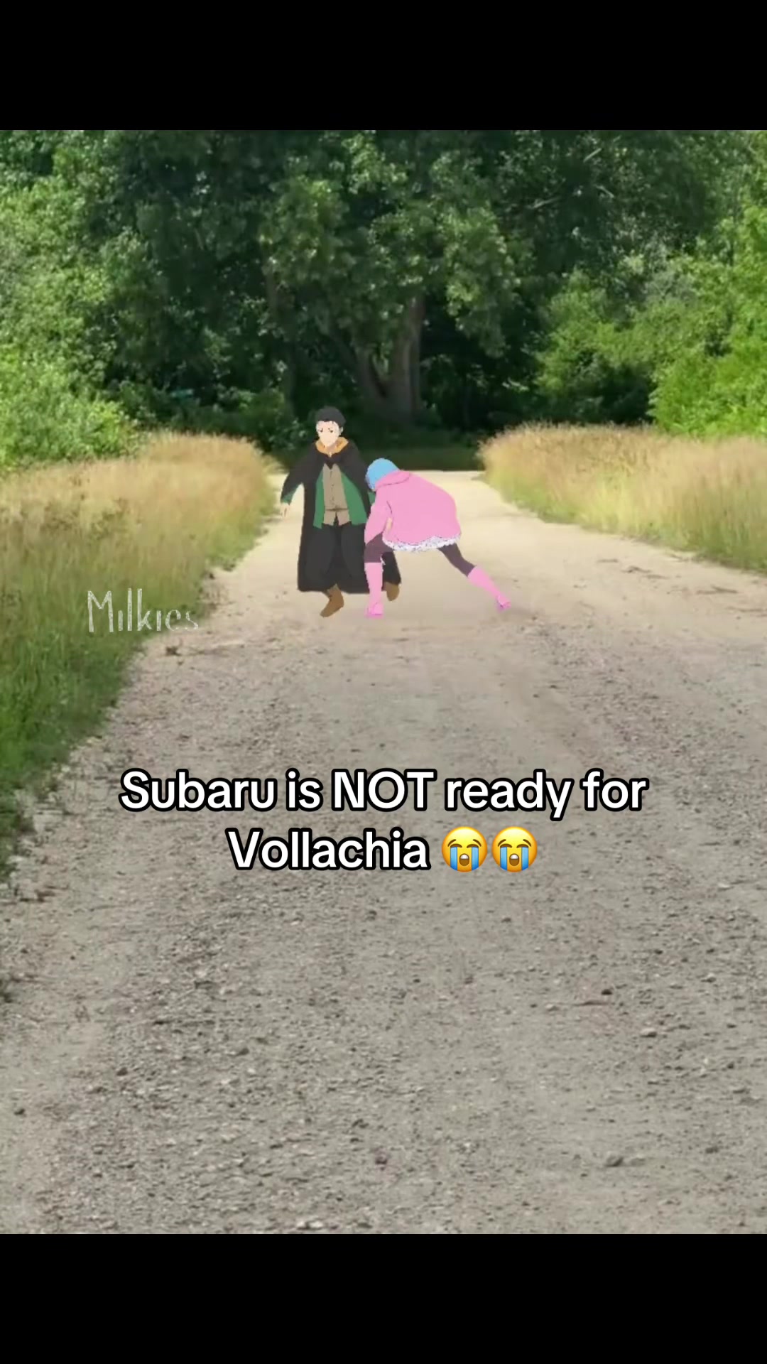 @Milkies/Echidna