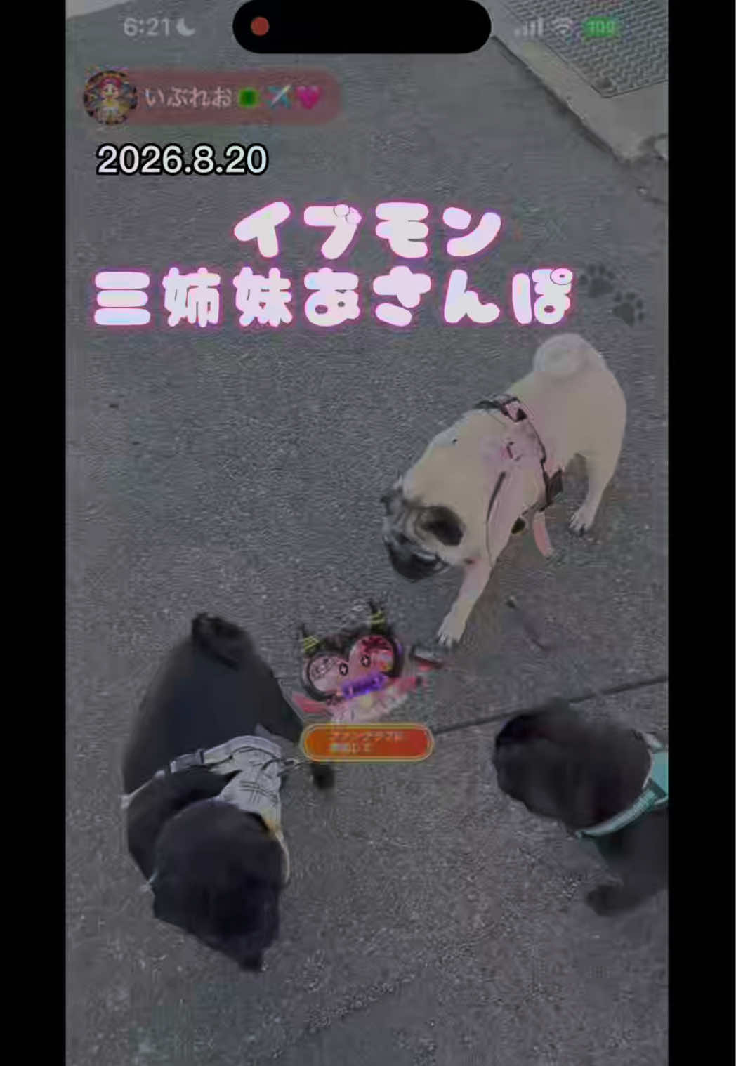 @すずか🧊🫧