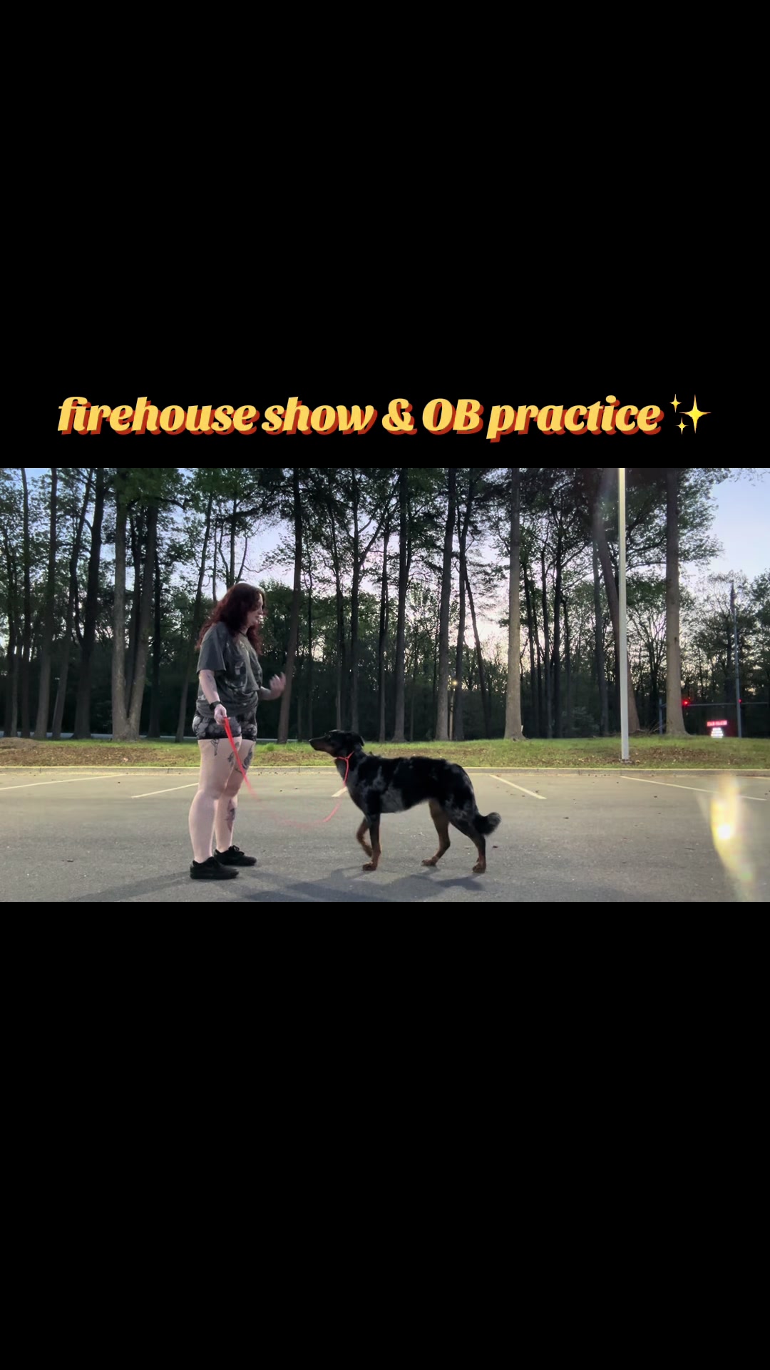 @valkyrie.the.beauceron