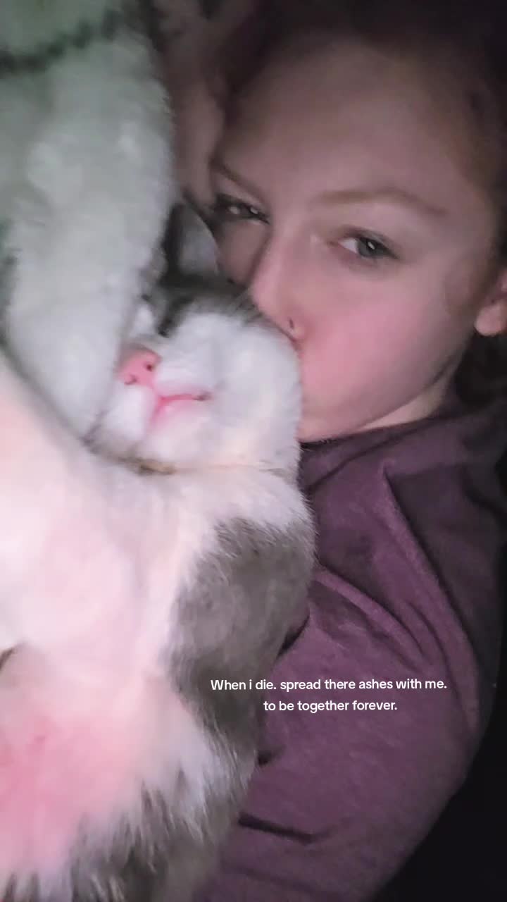 @♡♡♡♡