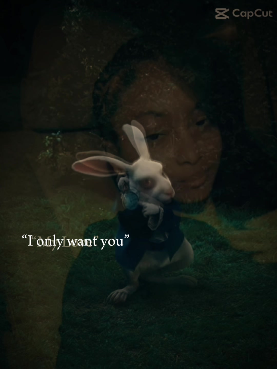 @serenity ᥫ᭡