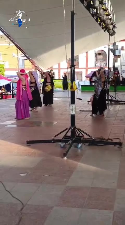 @Al-Sultani Bellydancers