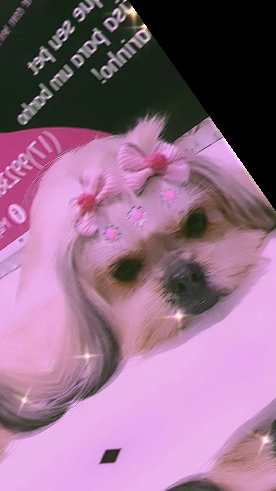 @MayPetz banho e tosa