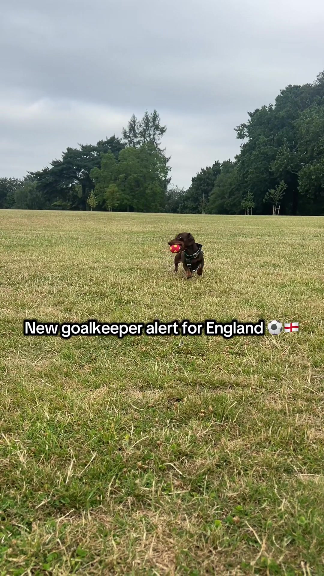 @sir_reggiethesausage