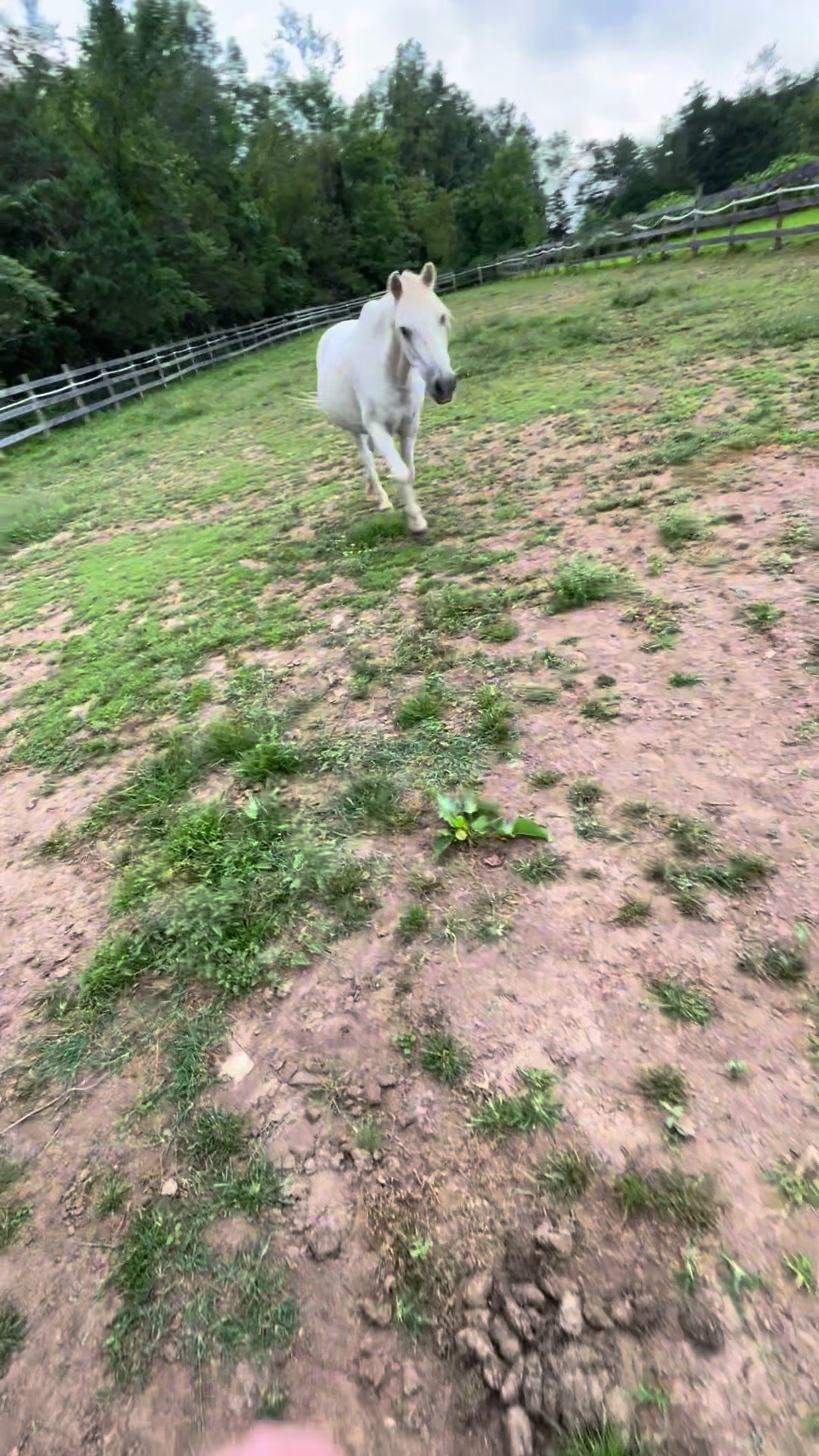 @🦄Sarah🦄