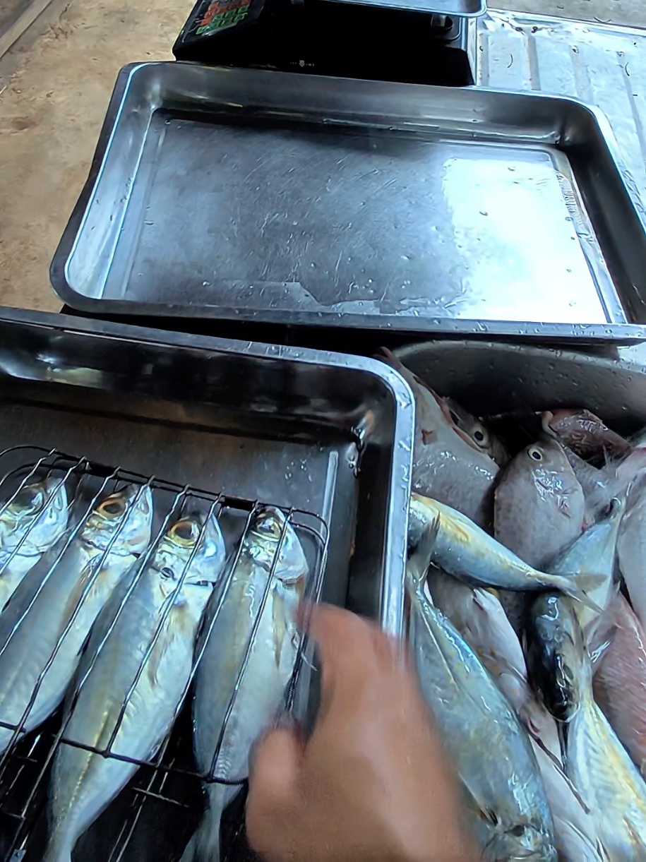 @Ikan Bakar Opah (IBO)
