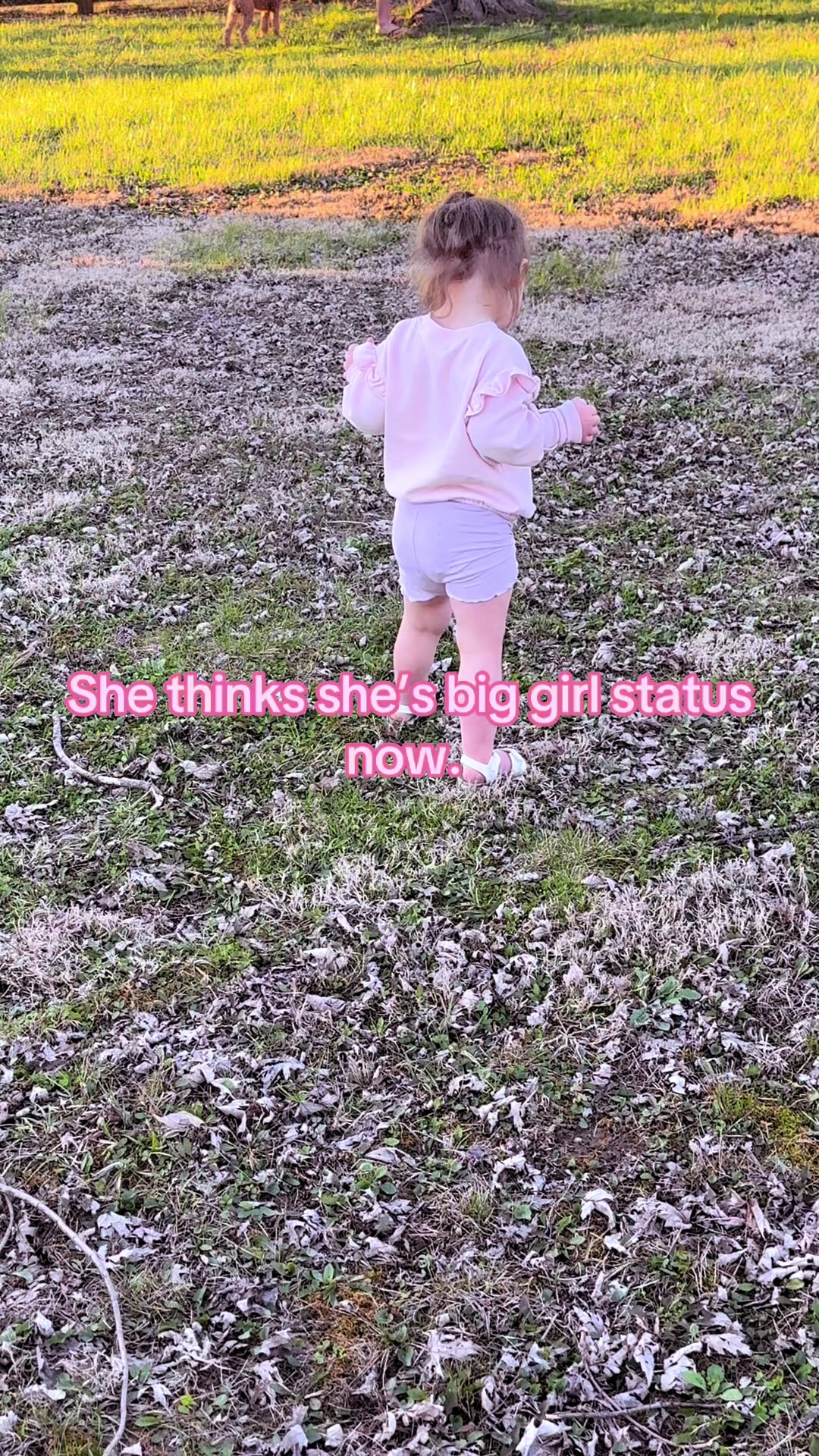 @Kami