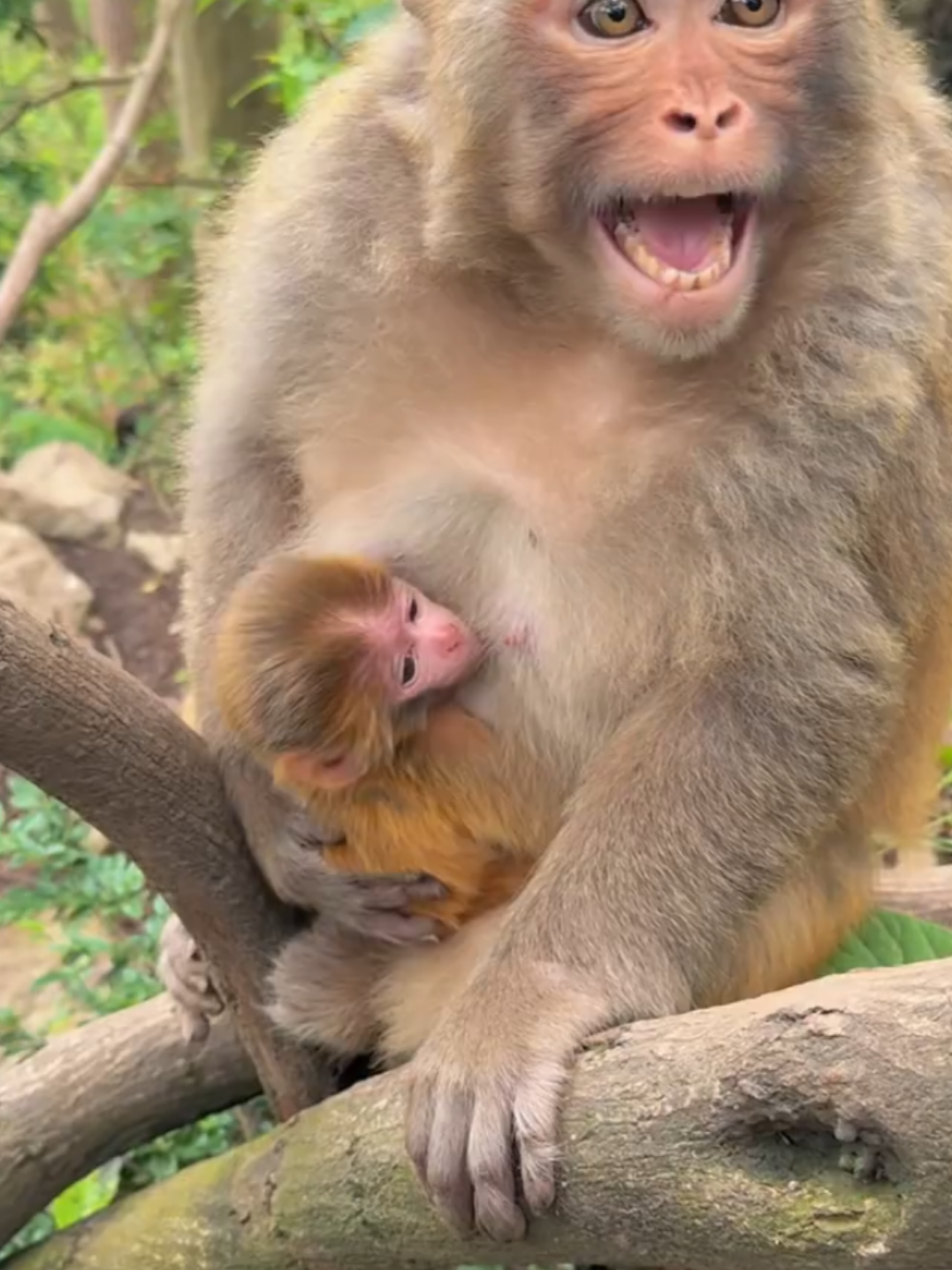 @monkeycaco77