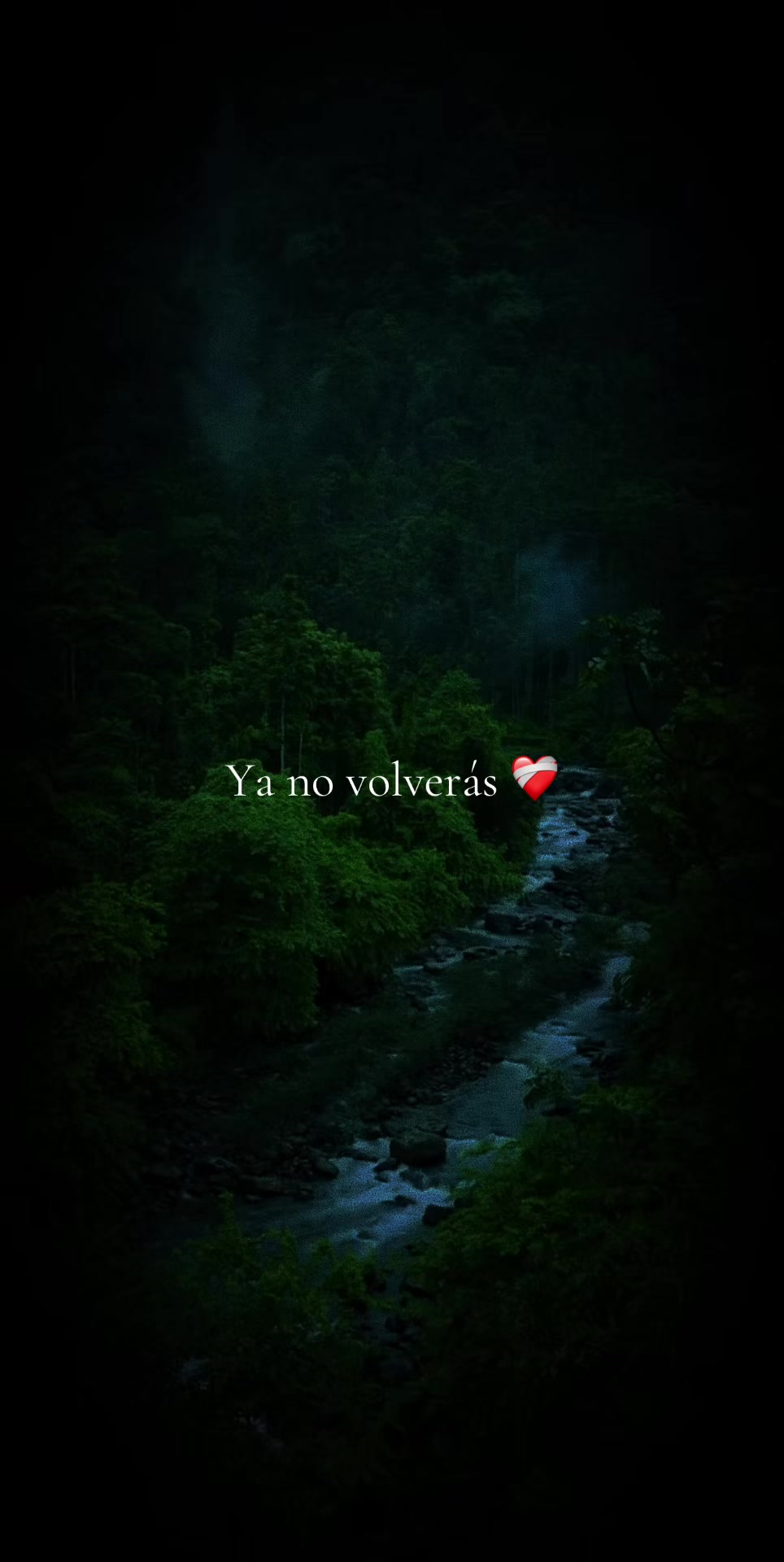 @✨️