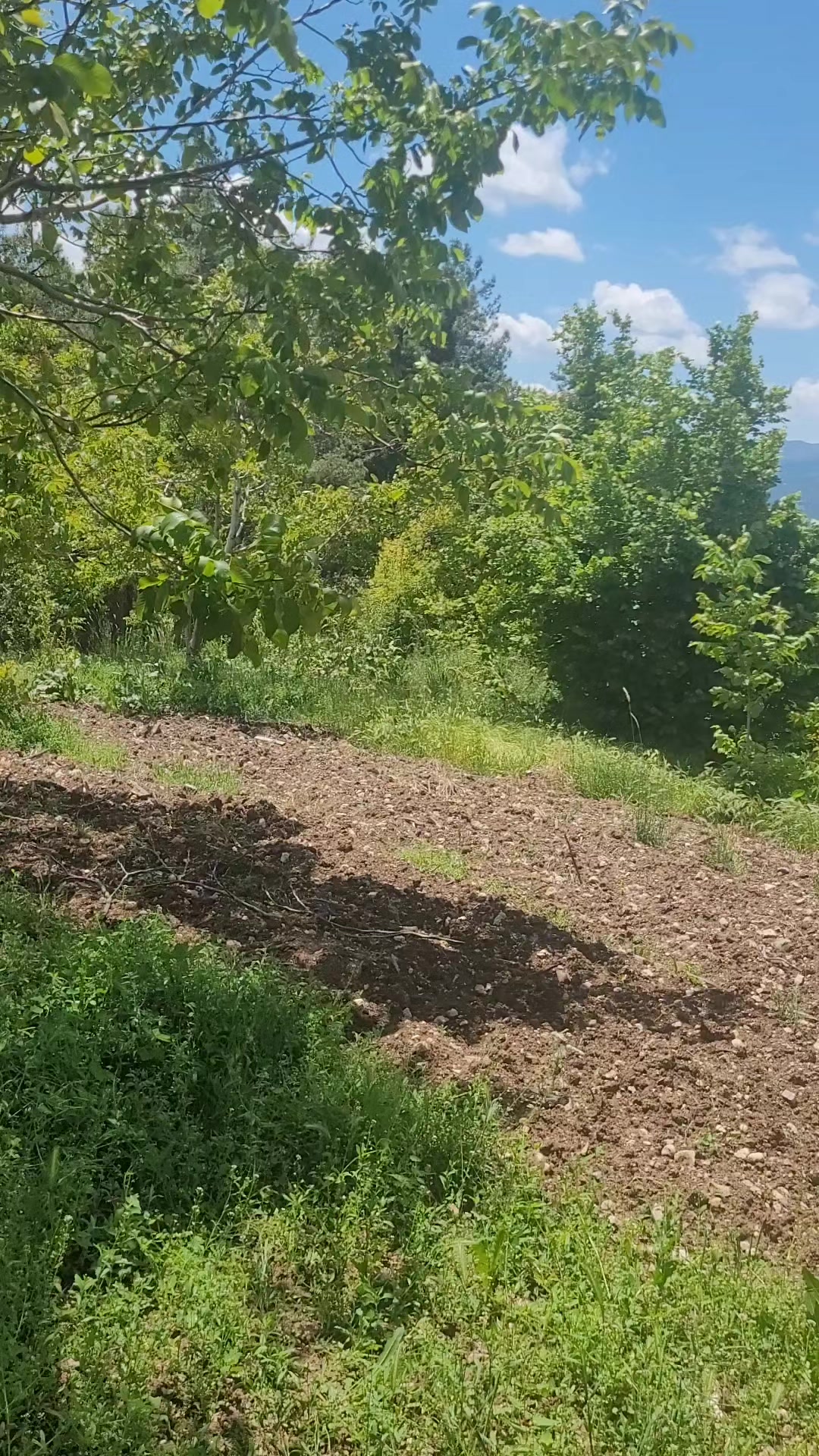 @Necla Karadağ