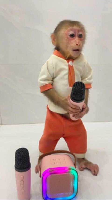 @Lilymonkey