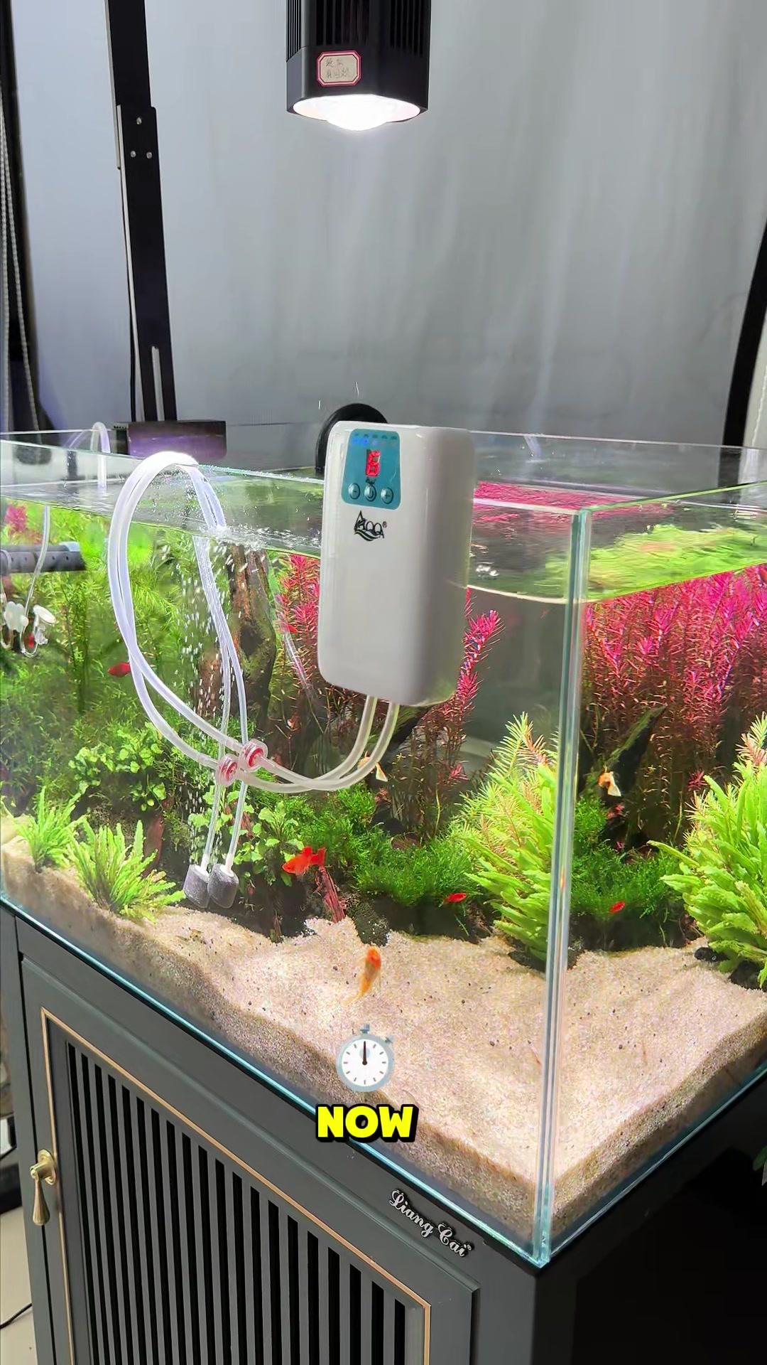 @AQQA Aquarium Store