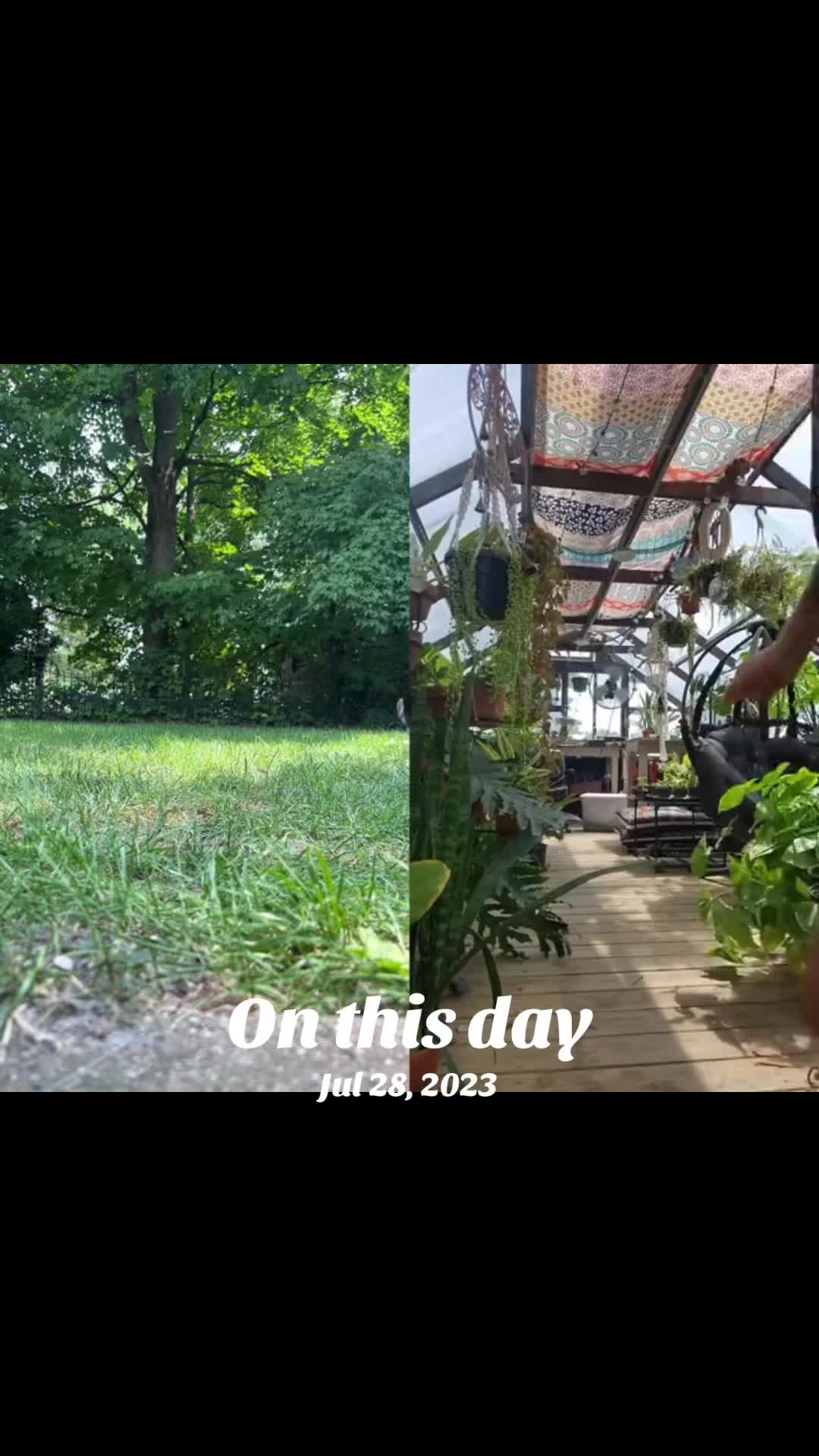 @Ana🦕