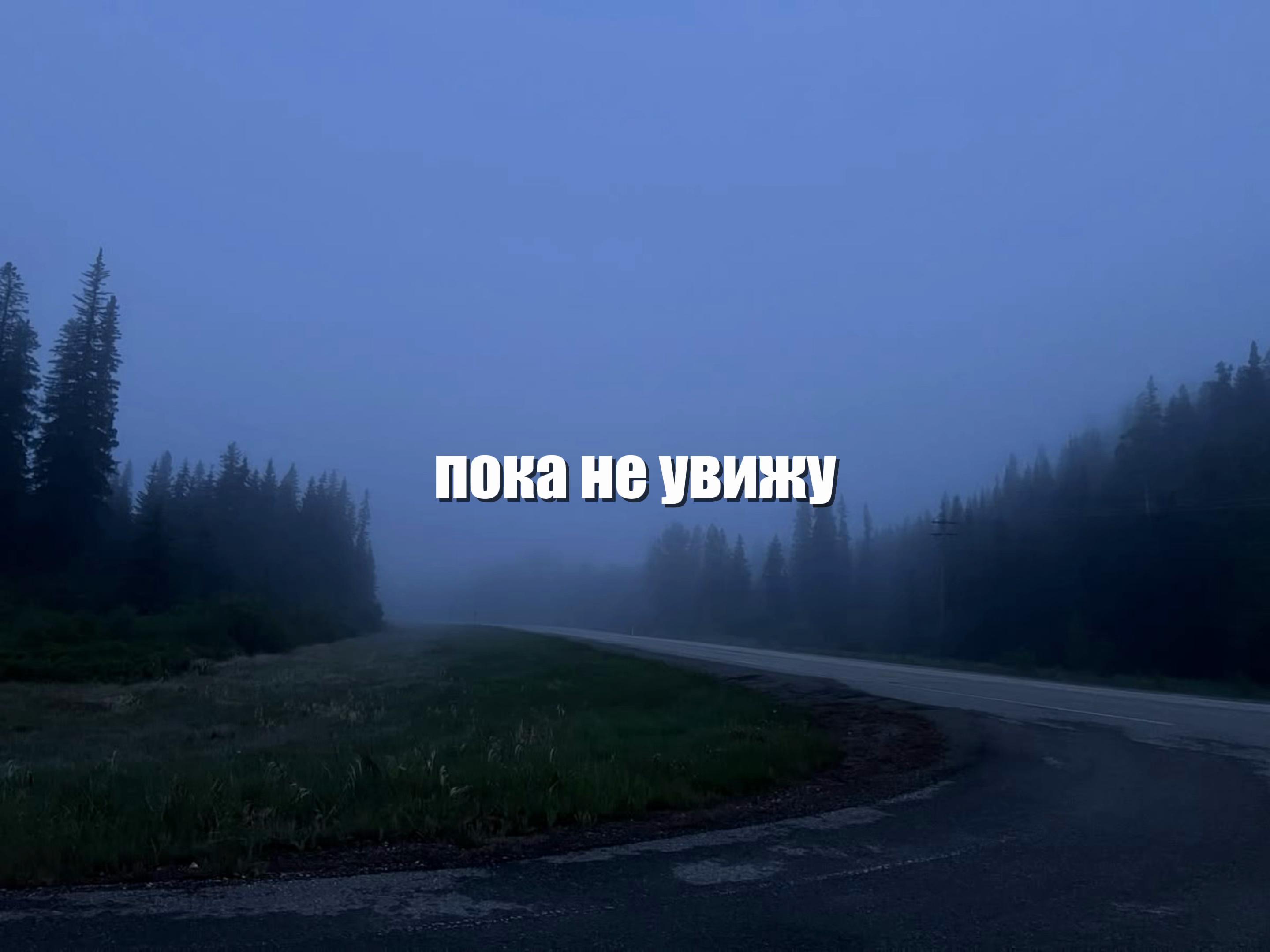 @yasko