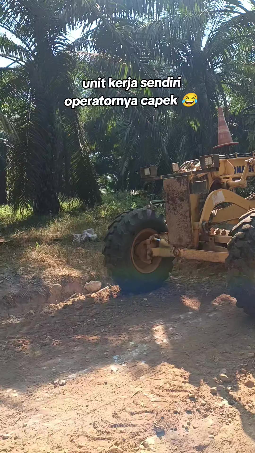 @Bongkek 439