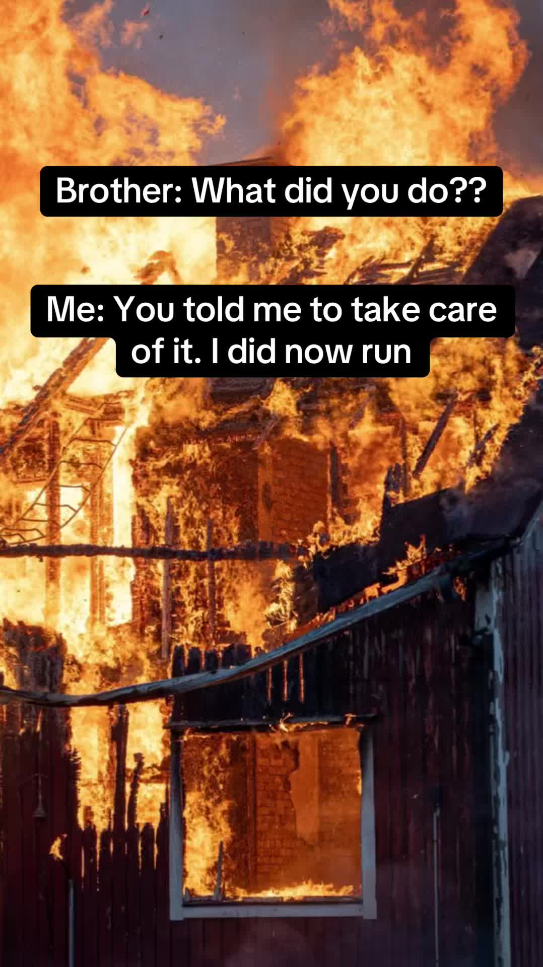 @Shelby📚🐶🏕️