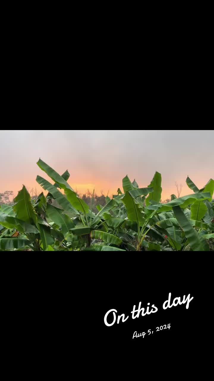 @SouthKonaSunsets