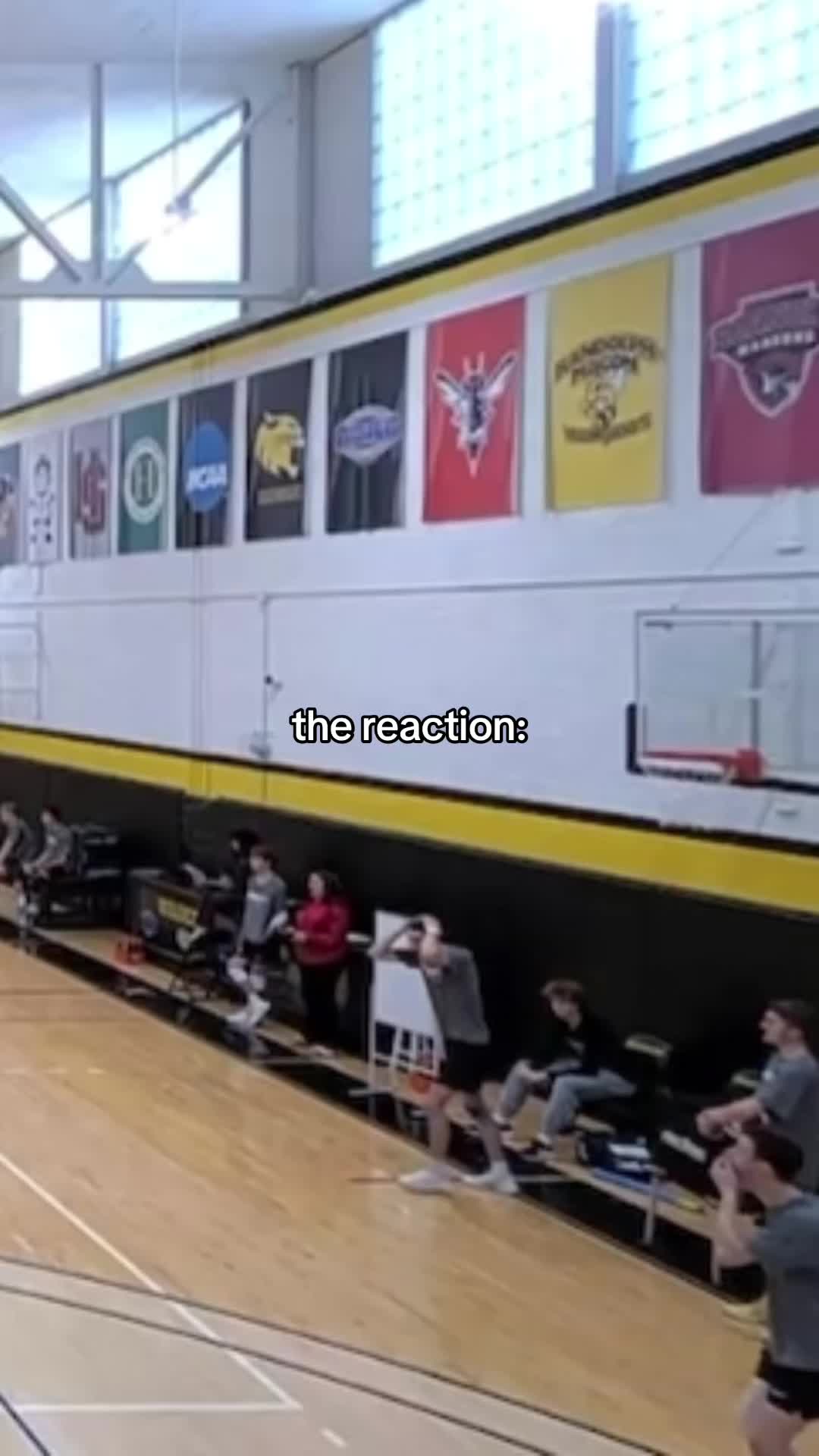 @🪽