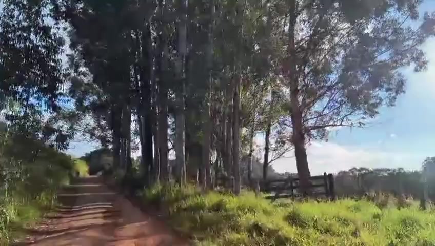 @Mariia Gabrieella