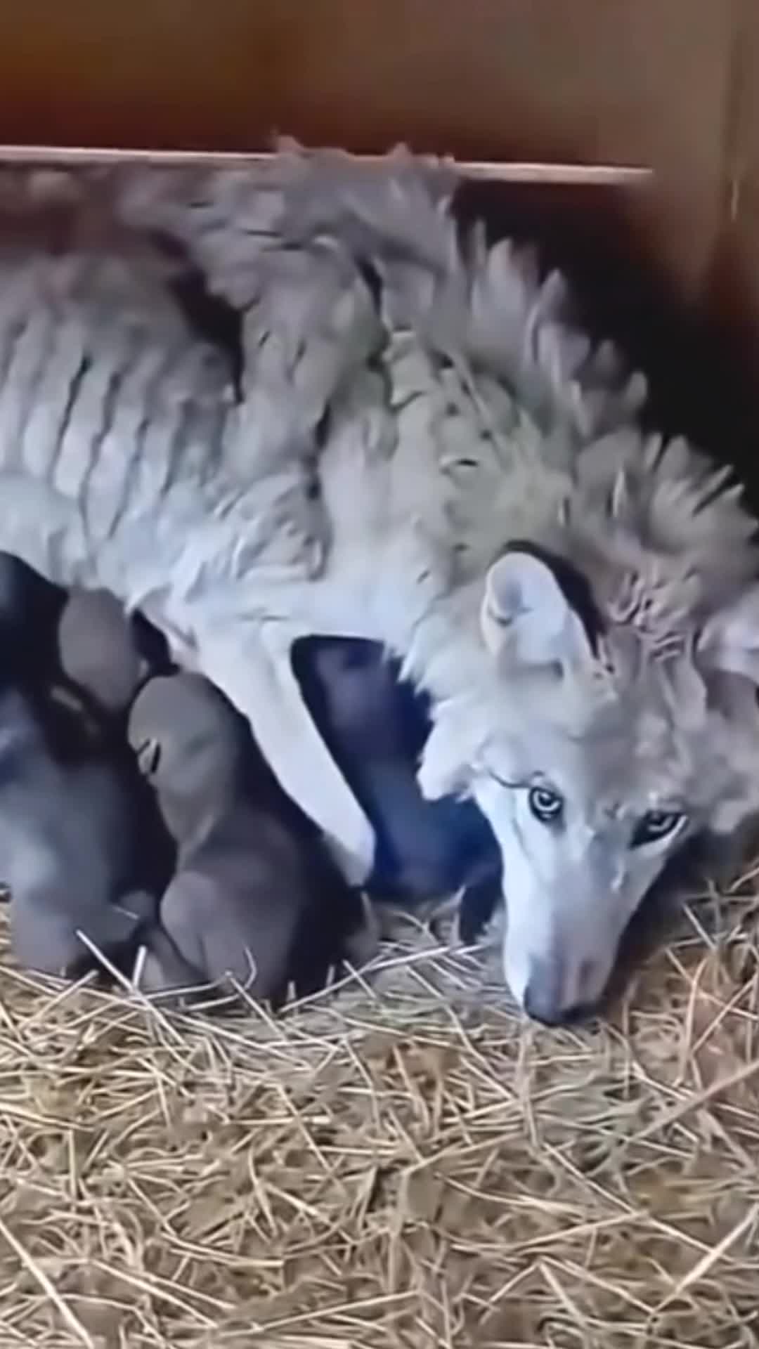 @عالم القصص