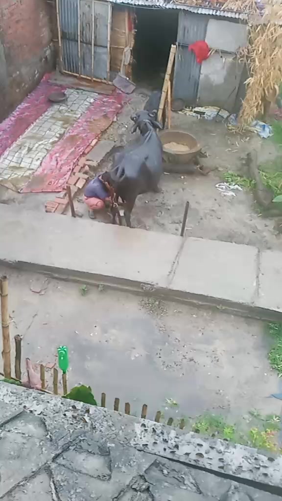 @/// PANCHDEV /// YADAV ///