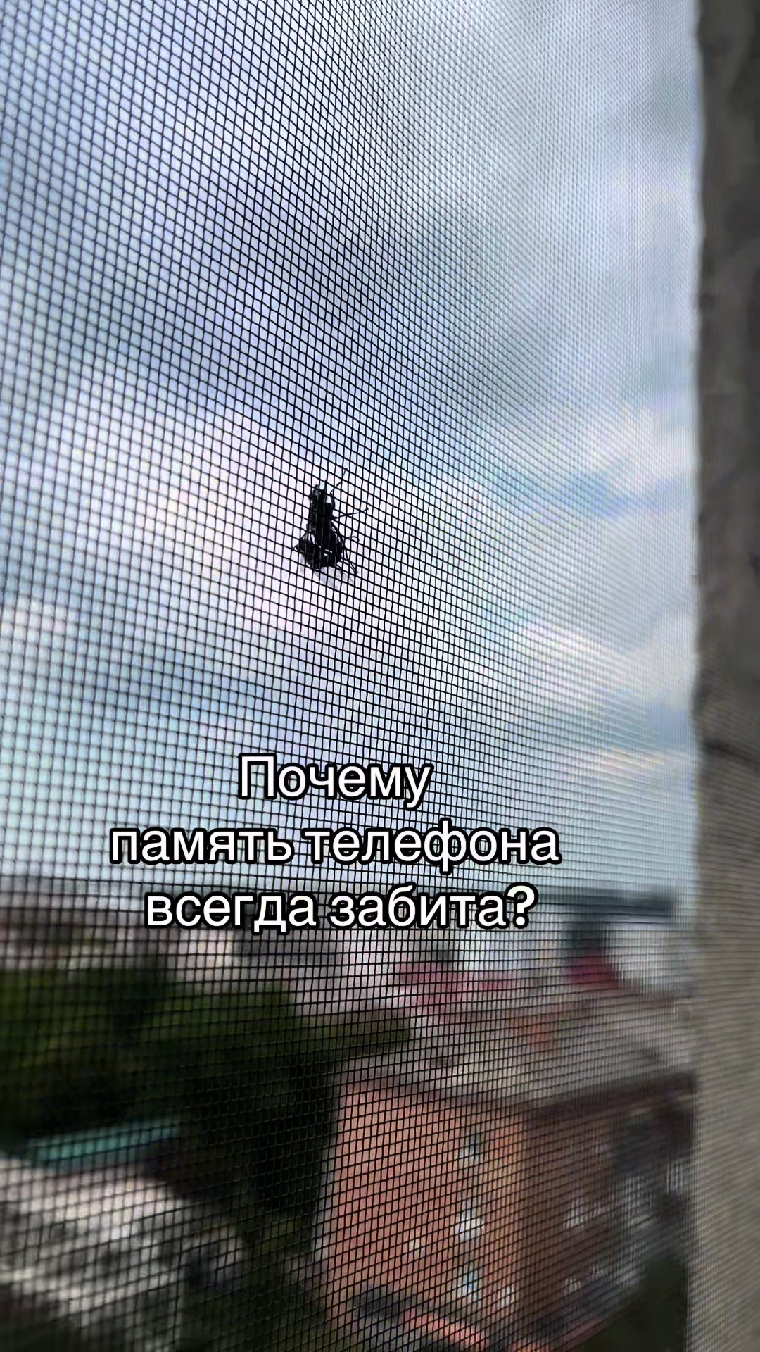 @Ирина Мантур
